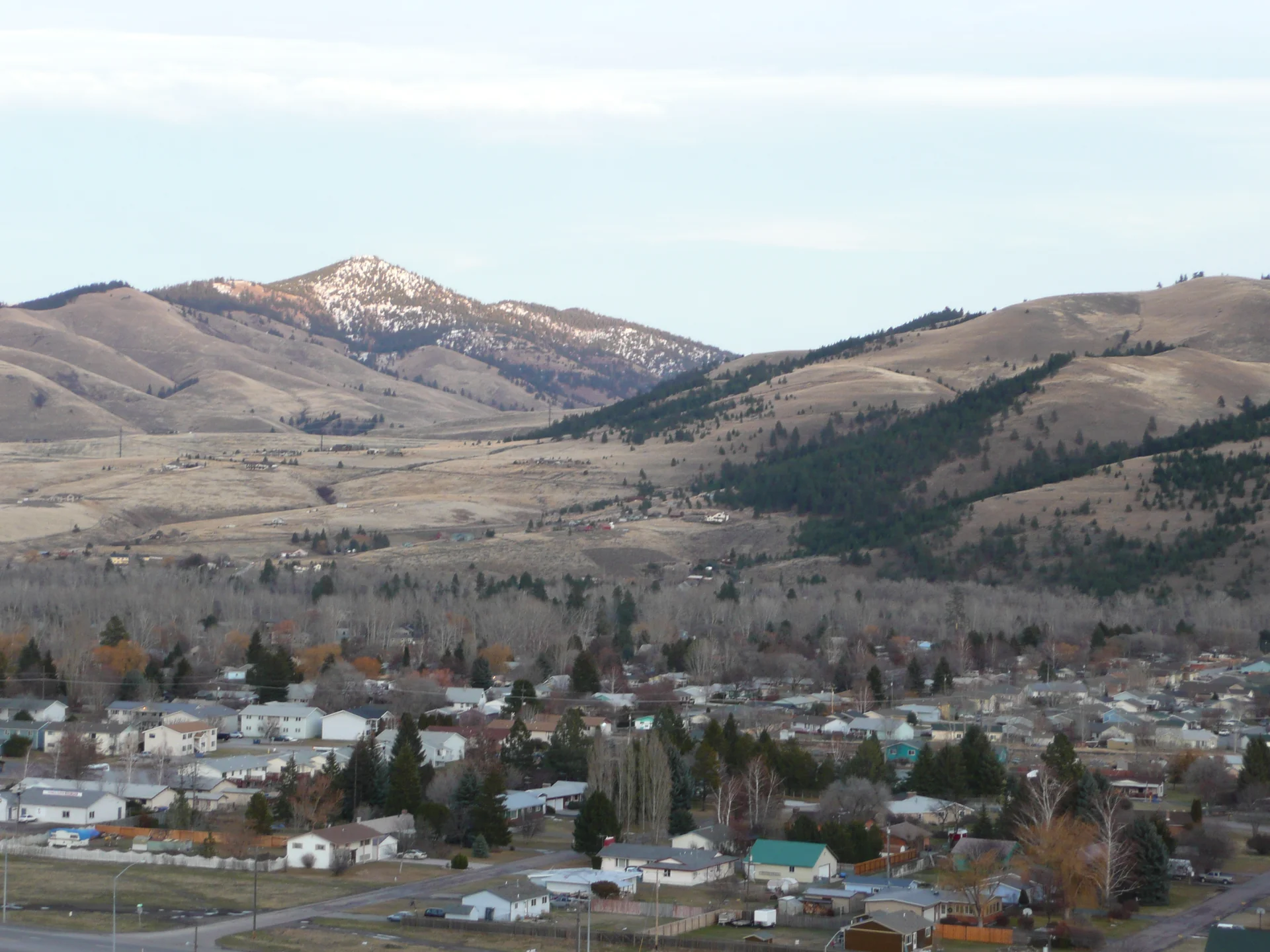 Movers in Lolo, MT